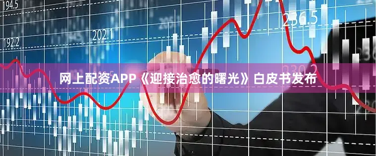 网上配资APP《迎接治愈的曙光》白皮书发布