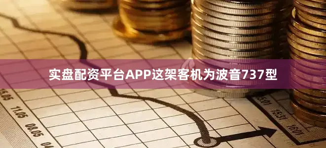 实盘配资平台APP这架客机为波音737型