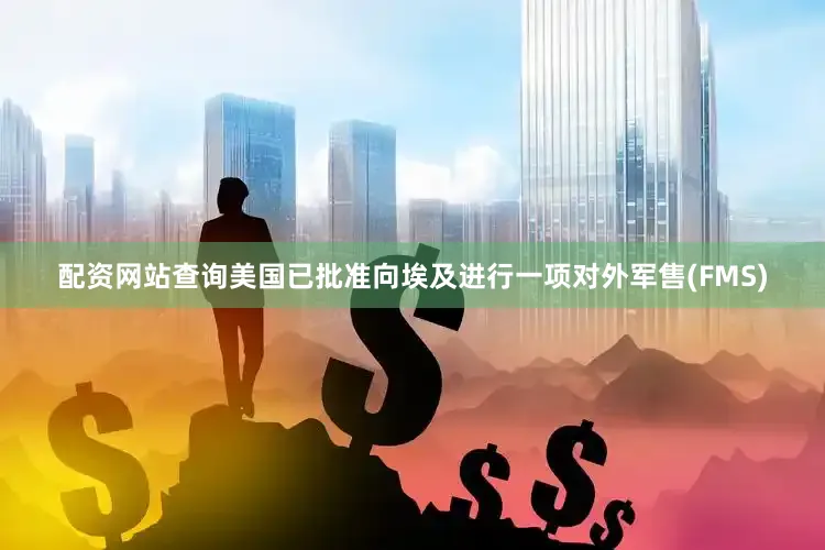配资网站查询美国已批准向埃及进行一项对外军售(FMS)