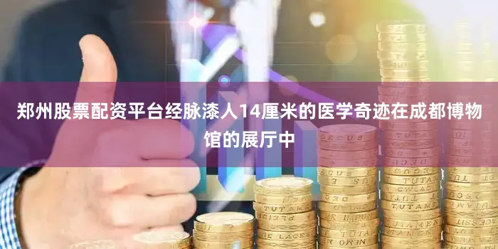 郑州股票配资平台经脉漆人14厘米的医学奇迹在成都博物馆的展厅中