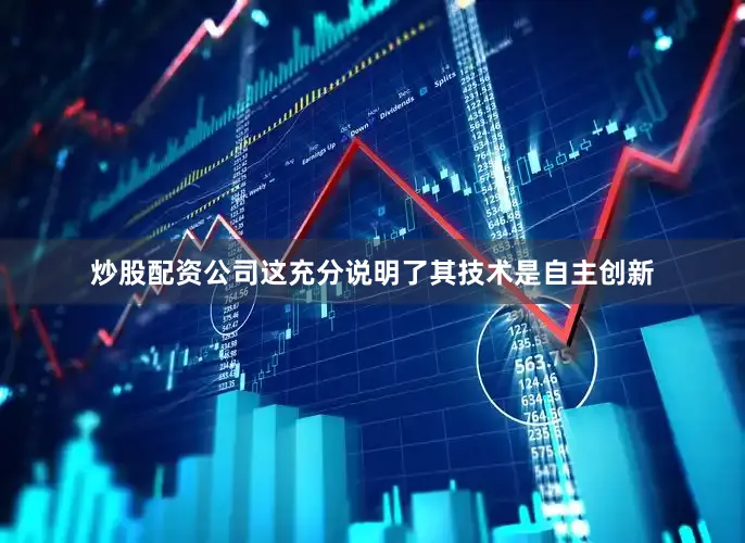 炒股配资公司这充分说明了其技术是自主创新