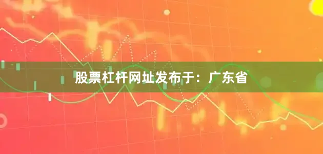 股票杠杆网址发布于：广东省