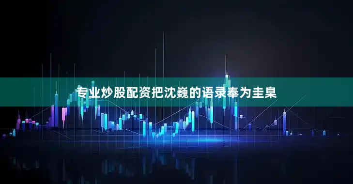 专业炒股配资把沈巍的语录奉为圭臬